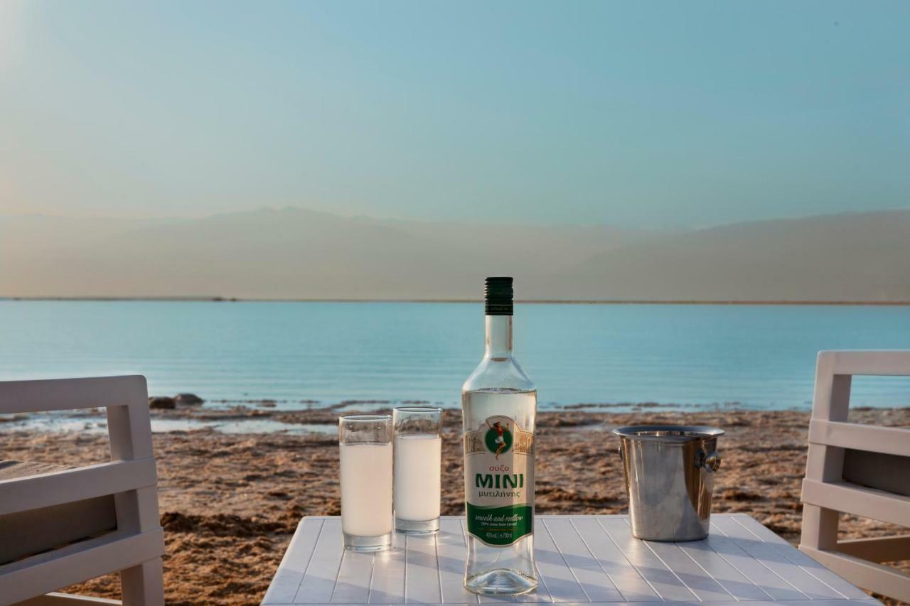 Herbert Samuel Milos Dead Sea Ein Bokek Eksteriør billede